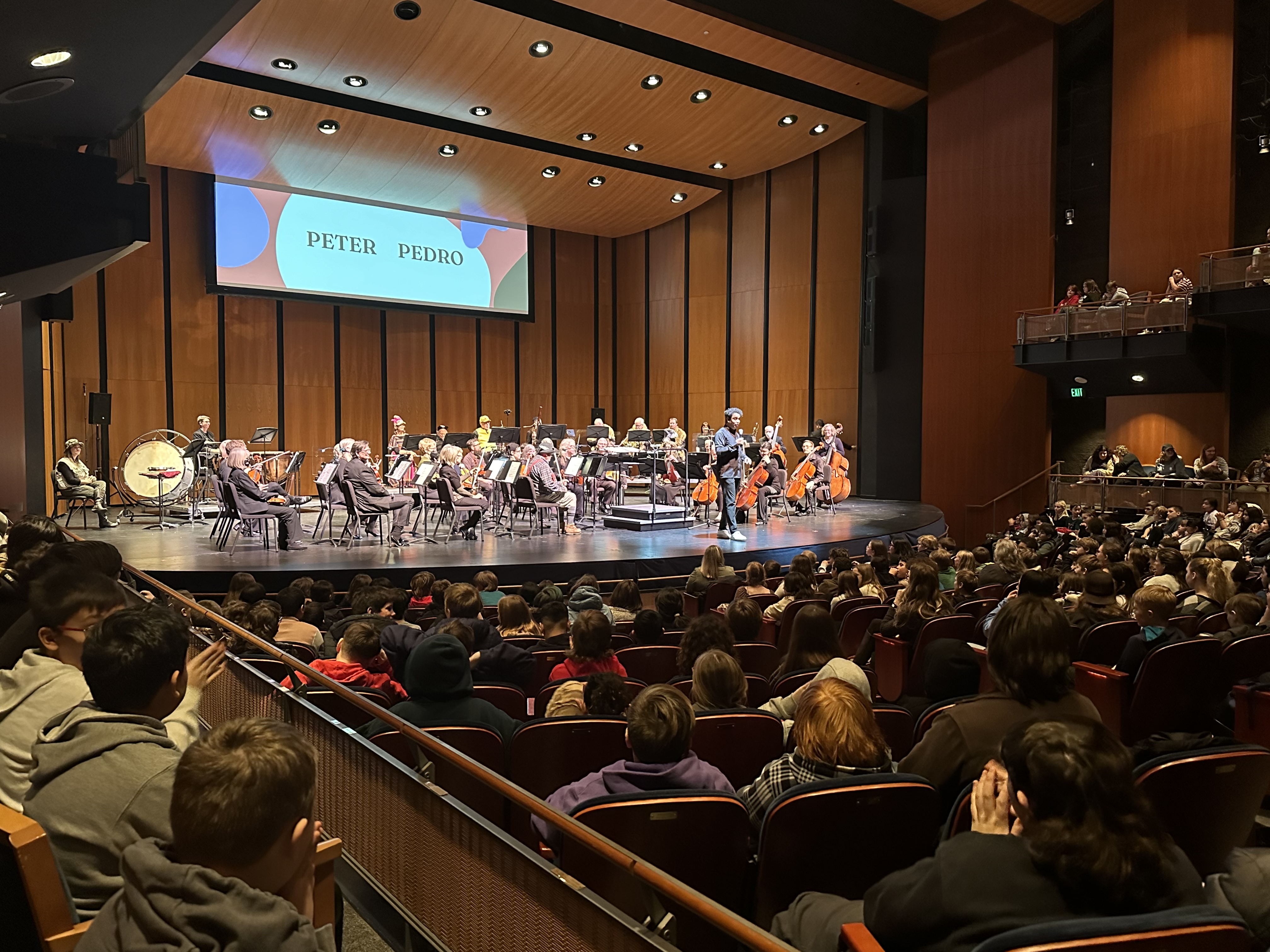 students at the symphony